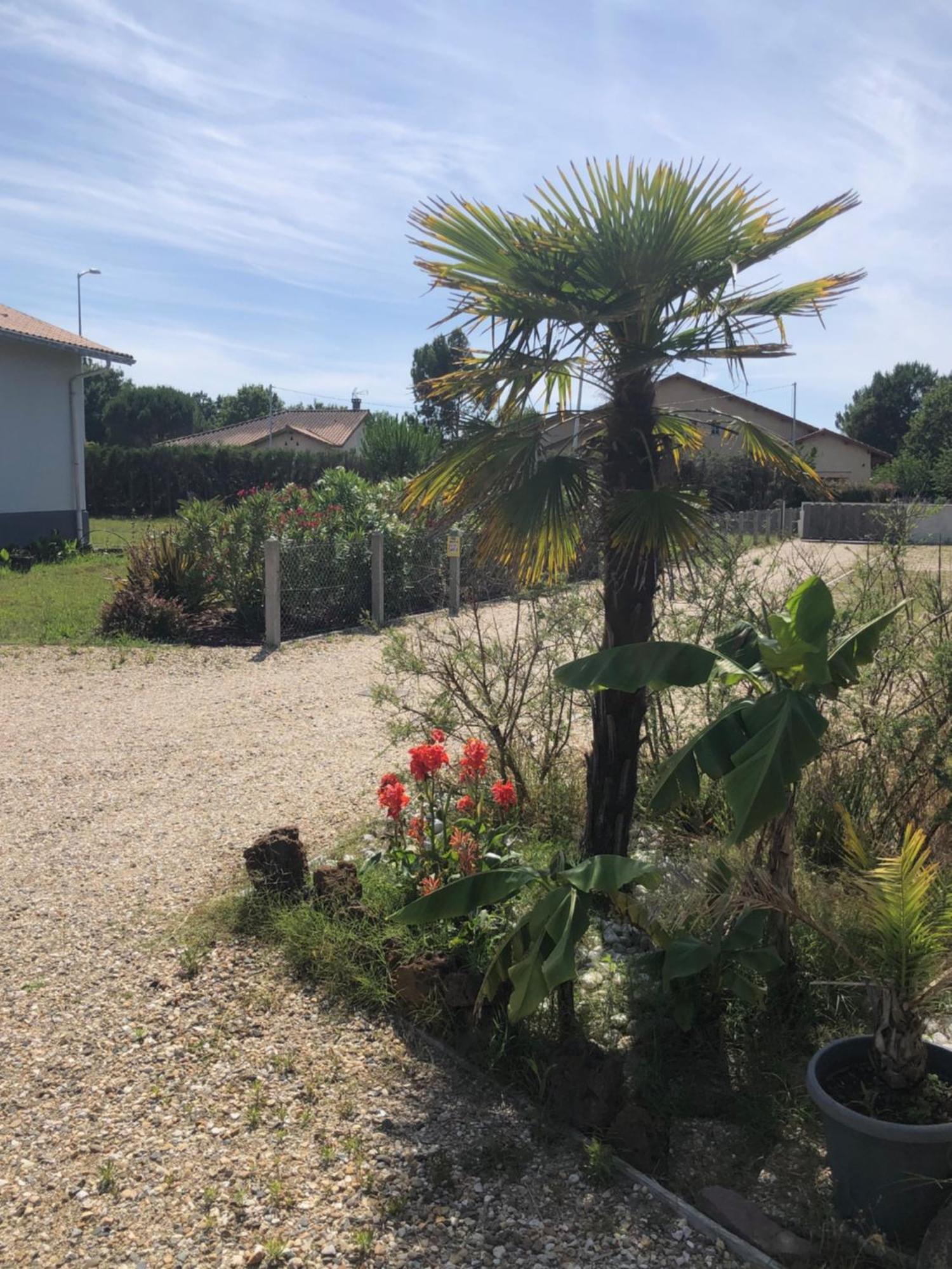 "Les Logis D'Argent" Chambre D'Hote Avec Wc, Sdb, Tv, Wifi, Option Petit Dejeuner , Parking Mimizan-Plage Exterior foto